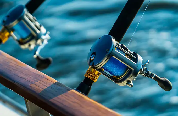 Deep Sea Fishing