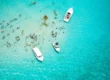 Party with your Friends on the Sandbar