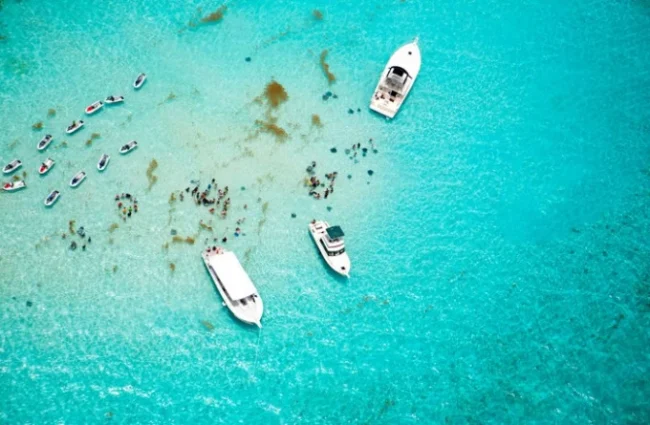 party-with-your-friends-on-the-sandbar Party with your Friends on the Sandbar