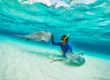 Pet a Stingray and See the Stars