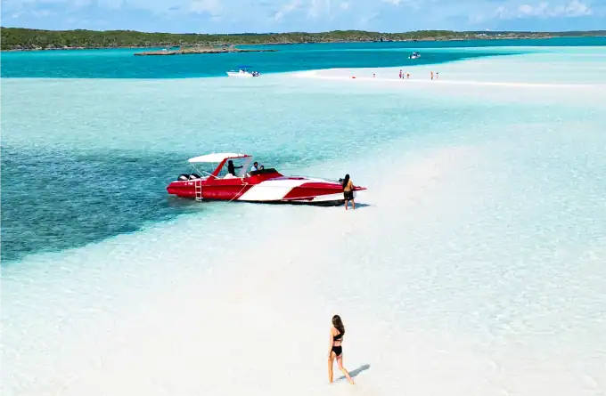 Sea Safari